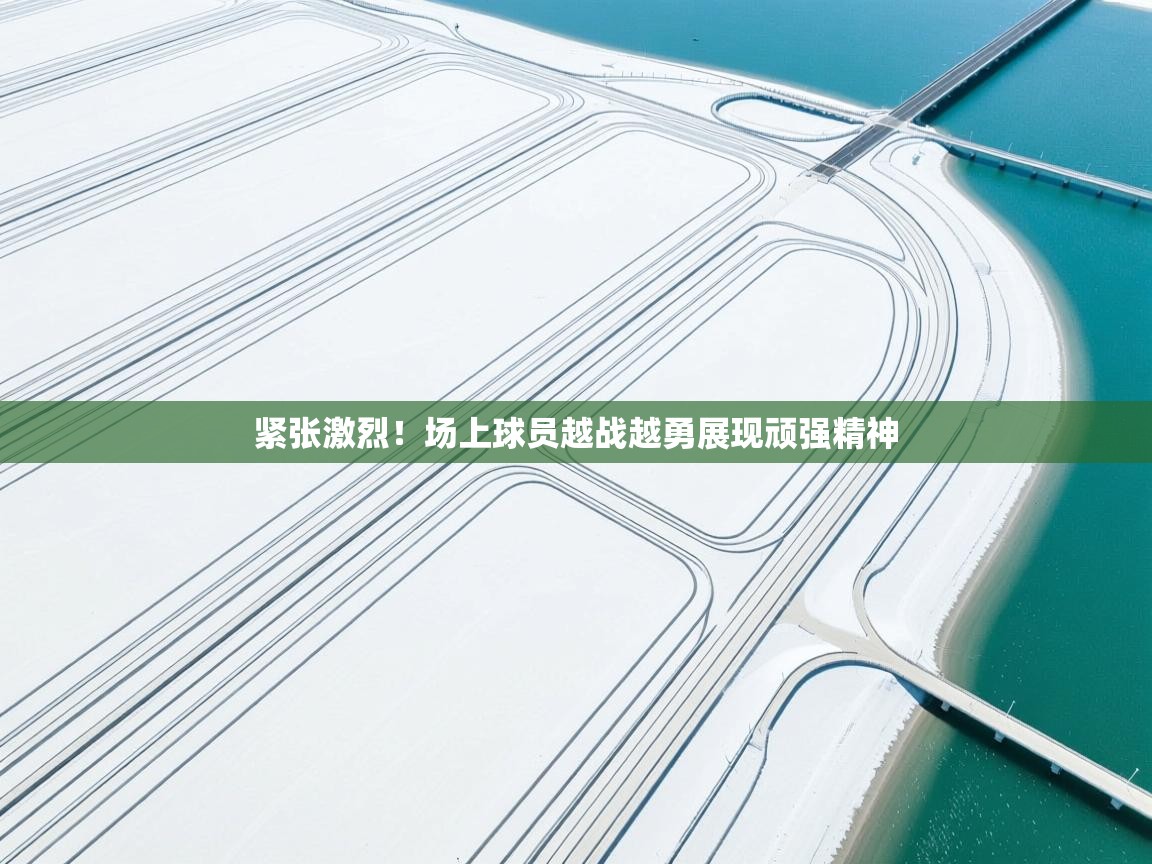 紧张激烈!场上球员越战越勇展现顽强精神 第1张
