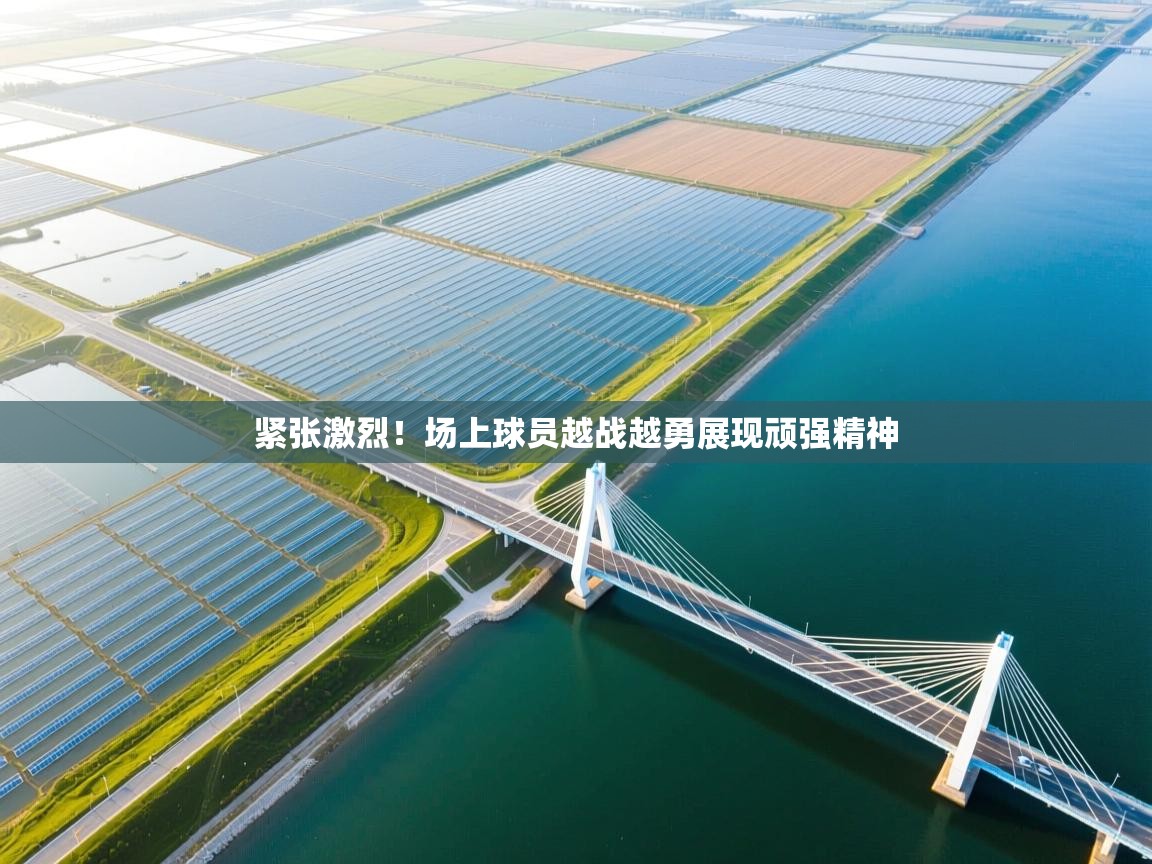 紧张激烈!场上球员越战越勇展现顽强精神 第2张