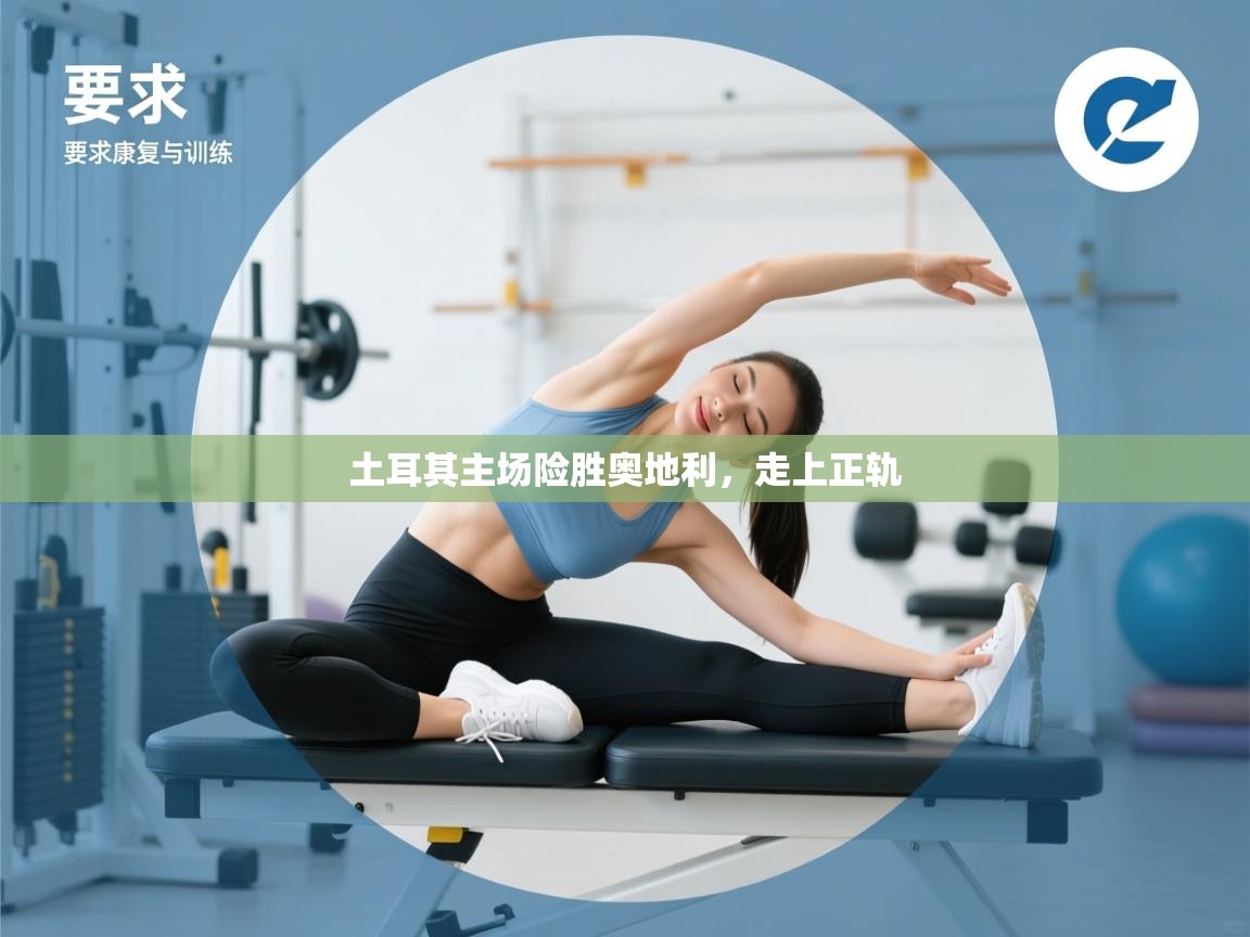 土耳其主场险胜奥地利,走上正轨 第1张