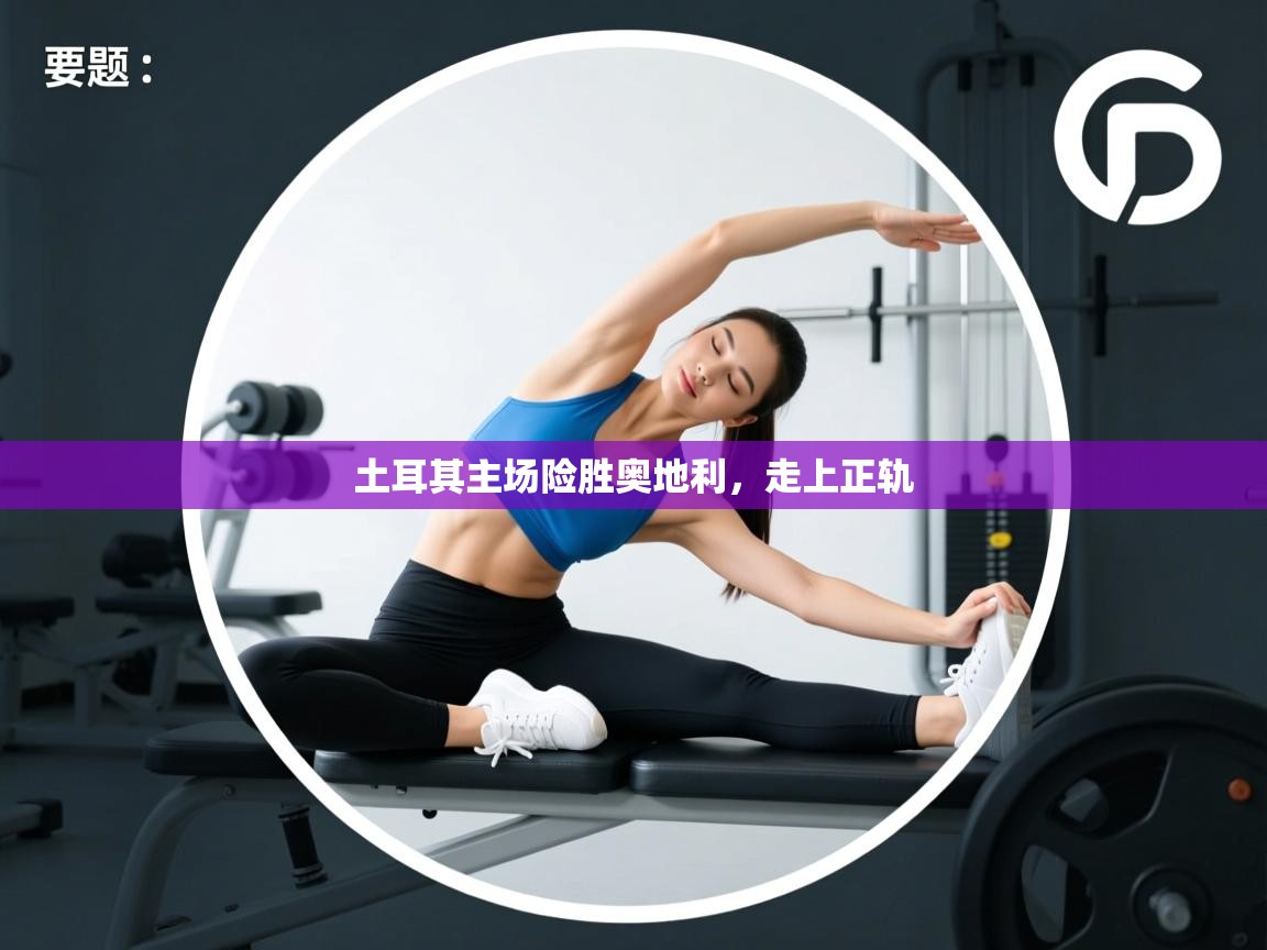 土耳其主场险胜奥地利,走上正轨 第2张