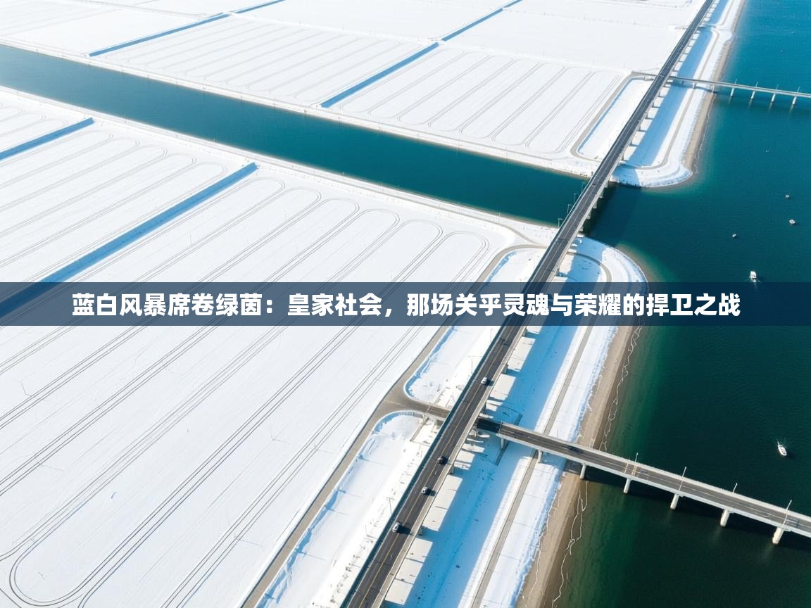 蓝白风暴席卷绿茵:皇家社会,那场关乎灵魂与荣耀的捍卫之战 蓝白风暴席卷绿茵:皇家社会,那场关乎灵魂与荣耀的捍卫之战