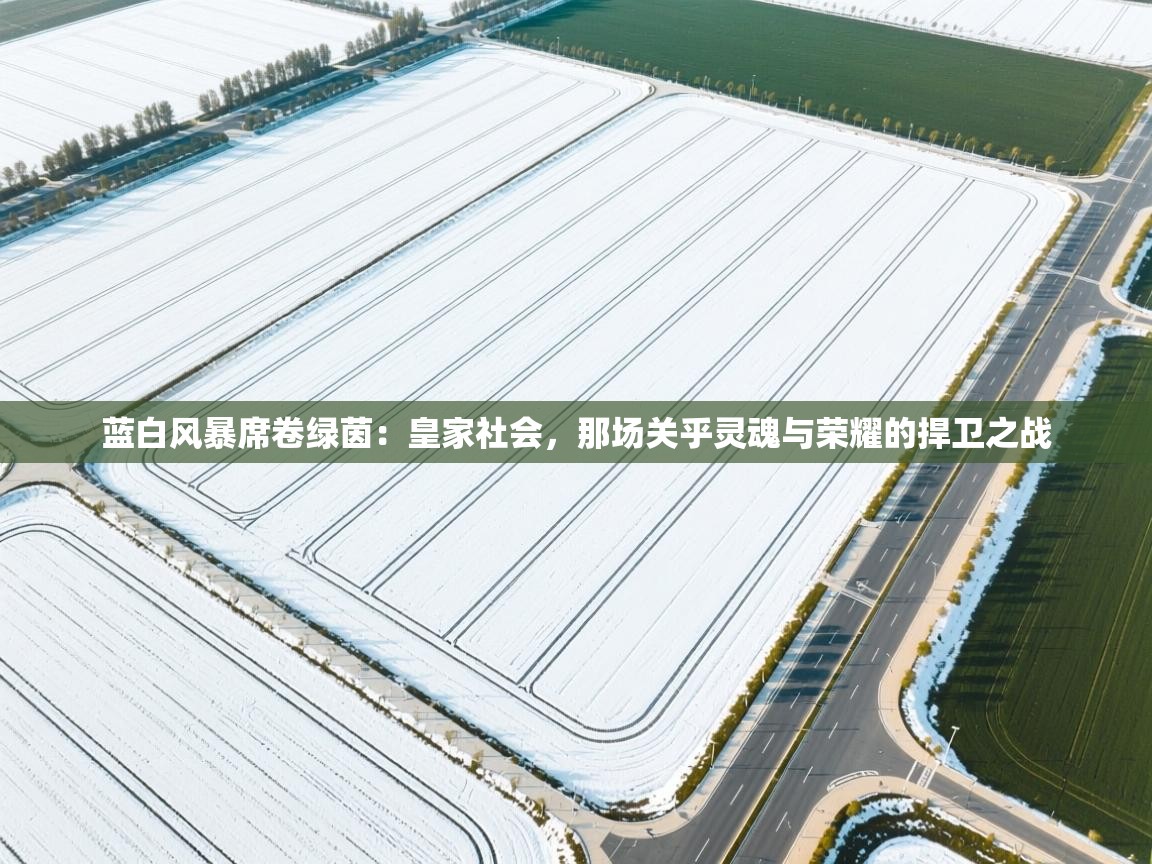 蓝白风暴席卷绿茵:皇家社会,那场关乎灵魂与荣耀的捍卫之战 蓝白风暴席卷绿茵:皇家社会,那场关乎灵魂与荣耀的捍卫之战