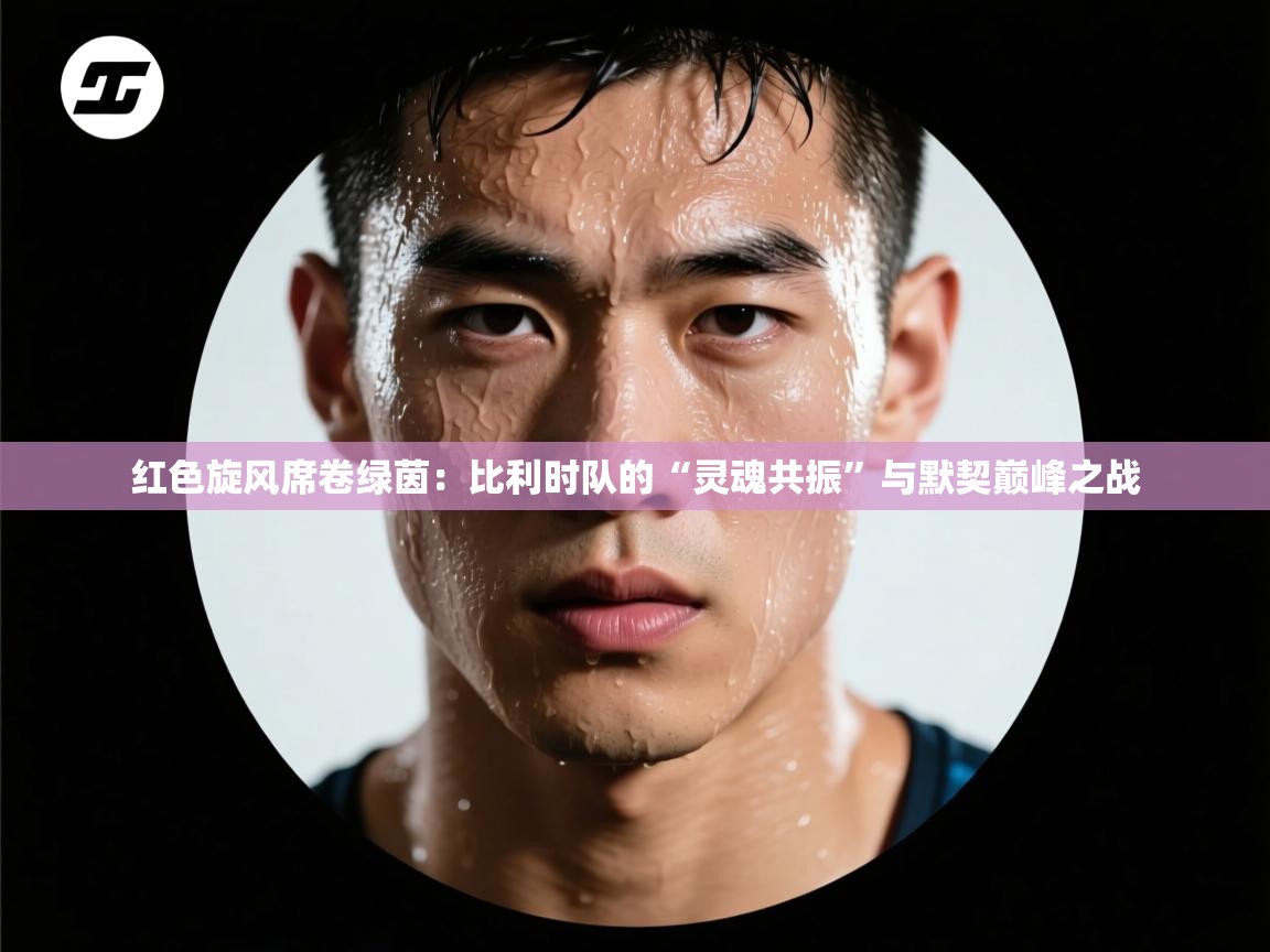 红色旋风席卷绿茵：比利时队的“灵魂共振”与默契巅峰之战  第1张