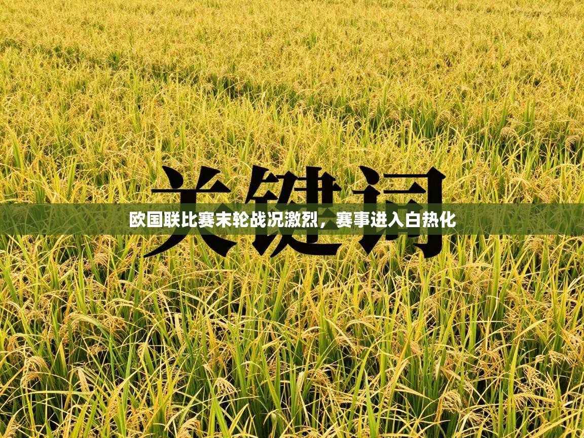 欧国联比赛末轮战况激烈,赛事进入白热化 第1张